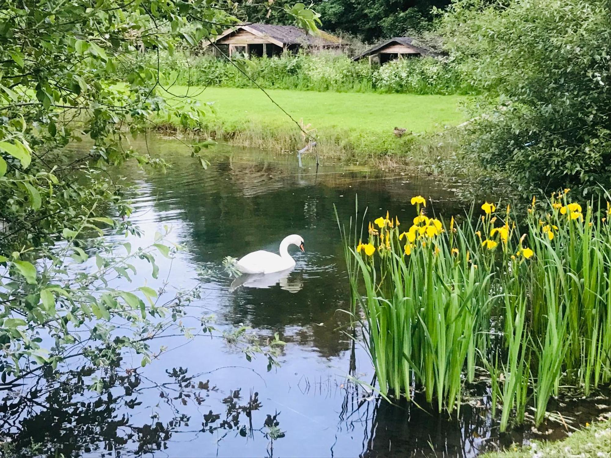 Bransford Farm Fishery & B & B Kültér fotó